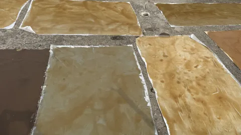 Kış aylarında tüketilen şifalı enerji deposu. Gaziantep'te yapımı başladı