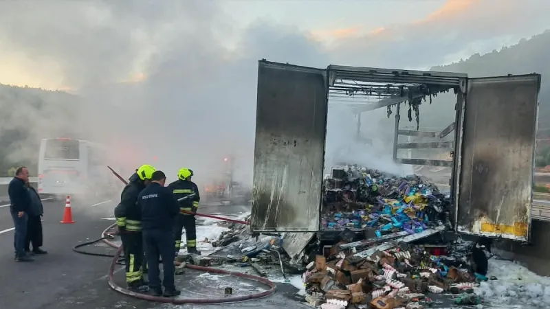 Kişisel bakım ürünleri yüklü TIR alev alev yandı