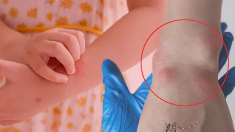 Komşuda can kaybı giderek artıyor: Gizli tehlike Türkiye kapısında