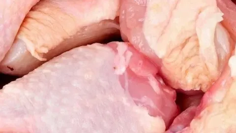 Konya'da 7 ton bozuk tavuk eti yakalandı