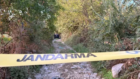 Koyunlarını otlatırken ölü bulundu