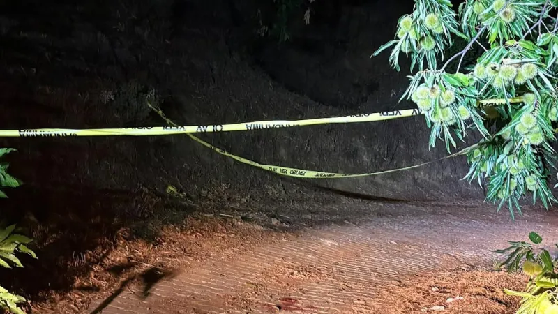 Kozalak kavgası kanlı bitti: Eski muhtar ağır yaralandı