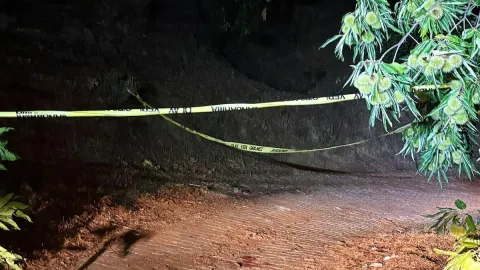 Kozalak kavgası kanlı bitti: Eski muhtar ağır yaralandı