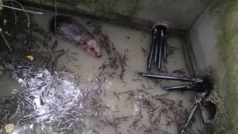 Kunduz kabloları kemirdi, bin 600 hane elektriksiz kaldı