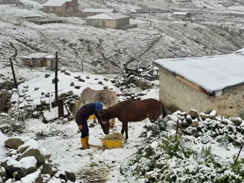 Rize'nin yüksek kesimleri beyaza büründü - fotoğraf 2
