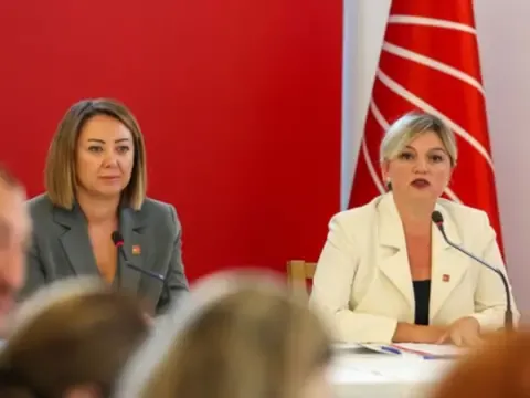 CHP'de 48 kişi partiden ihraç edildi: Listede kimler var? - fotoğraf 6