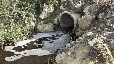 Marmara Denizi'ni kirleten tesise ilişkin 5 milyon lira idari ceza