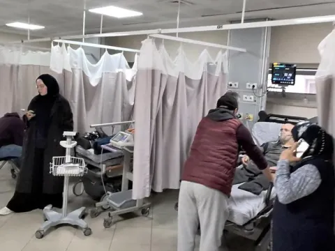 5 bin kişi hastanelik olmuştu! Tokat'taki salgında "evcil hayvan" detayı - fotoğraf 3