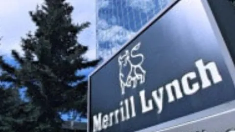 Merrill Lynch, işlemlerin Türk bireysel müşteriler adına yapıldığı iddiasını reddetti