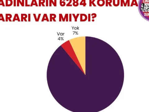 Kadın cinayetlerinde vahim tablo ortaya çıktı - fotoğraf 4