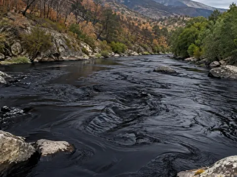 Nehir bir anda simsiyah oldu, musluklardan katran akmaya başladı - fotoğraf 1