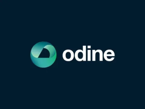 Odine hisselerine inceleme... SPK'dan 21 kişi için suç duyurusu - fotoğraf 1