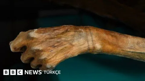 Mumyalar ve Viking geçitleri: Buzlar eriyince ortaya çıkan sırlar