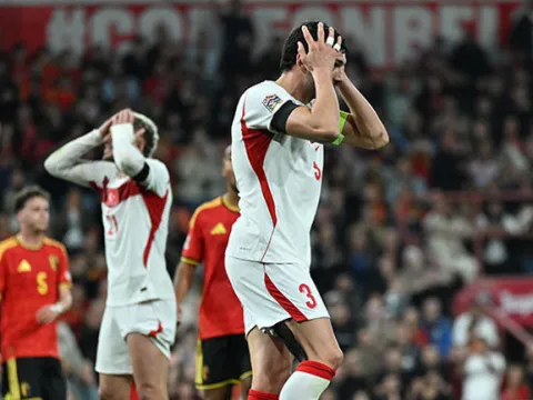 Belçika-Türkiye maçının kırılma anı: Merih Demiral boş kaleyi kaçırdı! - fotoğraf 3