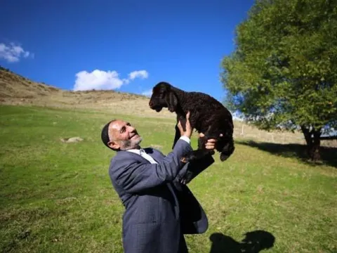 18 yıl sonra yine "koştu geldi" | "Yas yas yas gley" dedi ama koyunlar bu kez onu tanımadı - fotoğraf 5