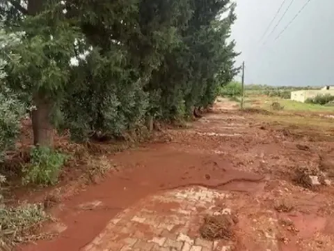 Hatay ve Mersin'i sağanak vurdu! Taşkın yaşandı: Ağaçlar devrildi, evleri ve yolları su bastı - fotoğraf 3