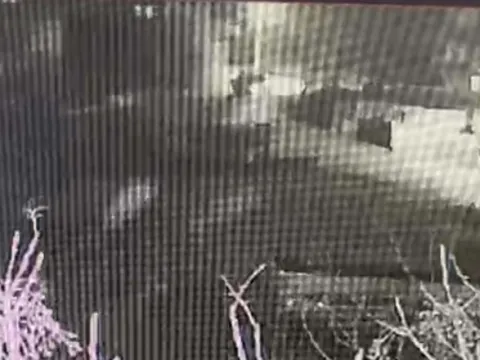 Mihriban Yılmaz cinayeti Naile Büşra'nın sırrını çözdü: Takipsizlik kararı kalkan dosyada ilk duruşma görüldü - fotoğraf 5