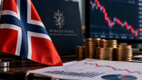Norveç Varlık Fonu'ndan Türkiye açıklaması: "Buradaki mağdur biziz"