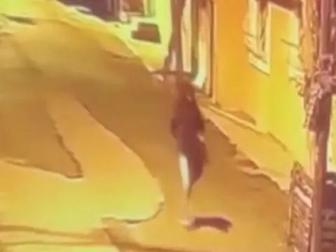 Korkunç saldırı! Haraç çetesi yanlışlıkla kuryeyi vurdu! - fotoğraf 1