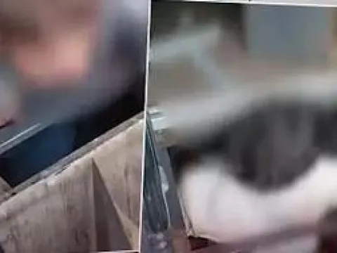 Tahran'dan komşu ülkelere üs uyarısı: "Toprağınızı kullandırtırsanız komşuluk biter" - fotoğraf 4