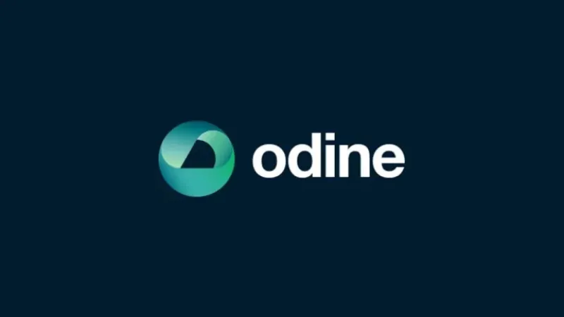 Odine hisselerine inceleme... SPK'dan 21 kişi için suç duyurusu