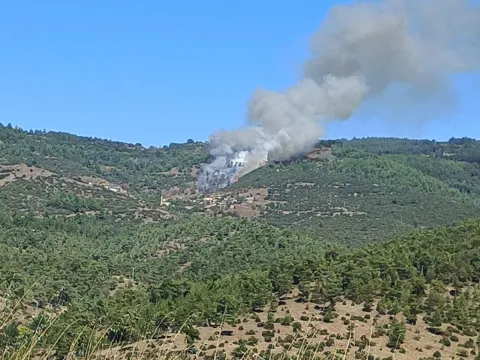 Bursa'da orman yangını büyümeden kontrol altına alındı - fotoğraf 1
