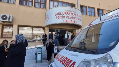 Öğrenciler velinin getirdiği yaprak sarmayı yiyince olanlar oldu