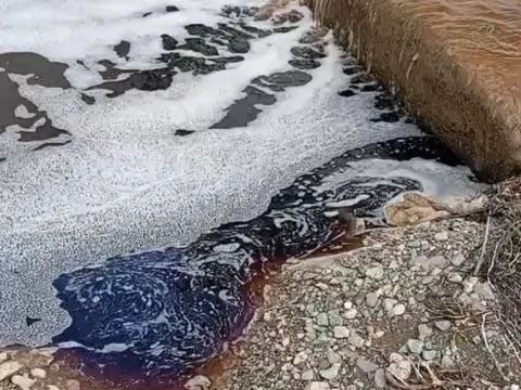 Yalova'da deniz yüzeyinde dikkat çeken görüntü - fotoğraf 4