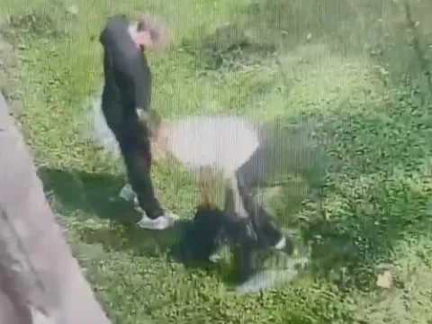 Yılan gibi sürünerek parkta uyuyan kişinin cep telefonunu çaldı! - fotoğraf 5