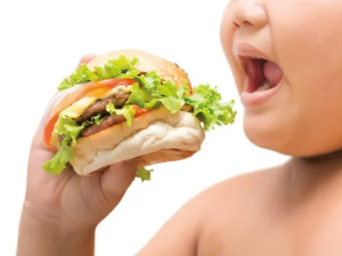 DSÖ'den uyarı... 170 milyon çocuk obez - fotoğraf 4