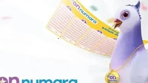 ON NUMARA SONUÇ SORGULAMA EKRANI: 19 Ekim On Numara sonuçları nereden ve nasıl sorgulanır? MPİ On Numara sonuç sorgulama ekranı