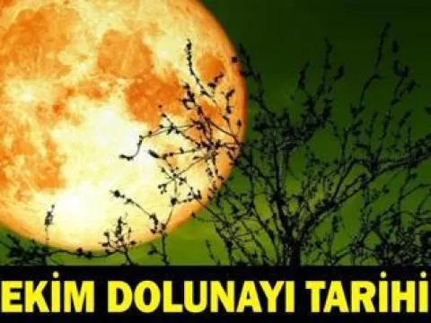 24 EKİM HAVA DURUMU TAHMİNLERİ: Yarın havalar nasıl olacak? İstanbul'da yağmur var mı? MGM tahminleri paylaştı - fotoğraf 1