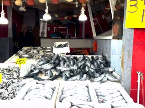 Üç tanesi 100 liraya satılıyor - fotoğraf 1
