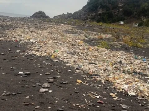 İki günlük yağmurla gelen çöpler kıyıya vurdu - fotoğraf 1