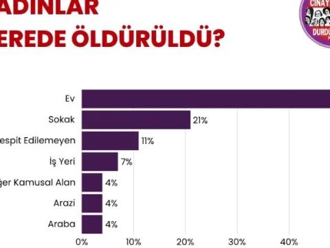 Kadın cinayetlerinde vahim tablo ortaya çıktı - fotoğraf 2