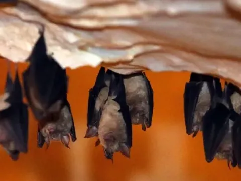 Tokat’ta bir evi bastılar: 16 davetsiz misafir için ekipler çağrıldı - fotoğraf 2