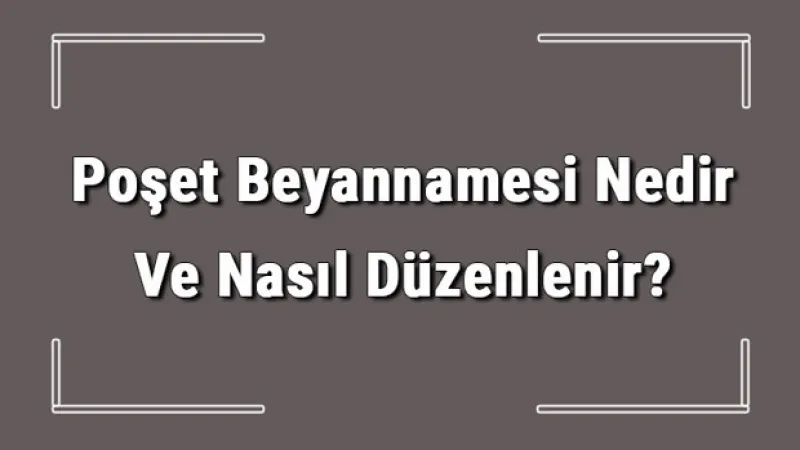 Poşet Beyannamesi Nedir Ve Nasıl Düzenlenir? Poşet Beyannamesi Nasıl Verilir Detaylı Bilgi