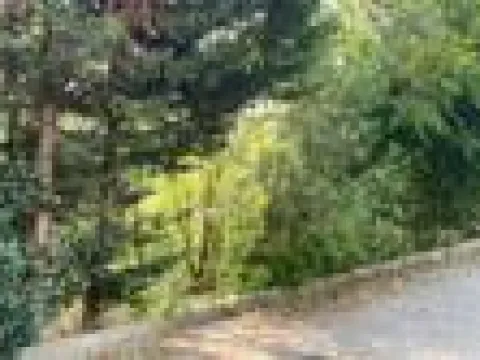 8 gündür kayıp olarak aranan Yusuf ölü bulundu: Son görüntüleri ortaya çıktı! - fotoğraf 6