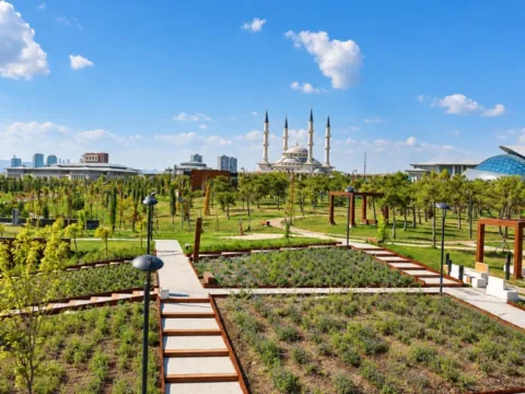Ankara'ya 645 bin metrekarelik yeni yaşam alanı: Beştepe Millet Ormanı - fotoğraf 1