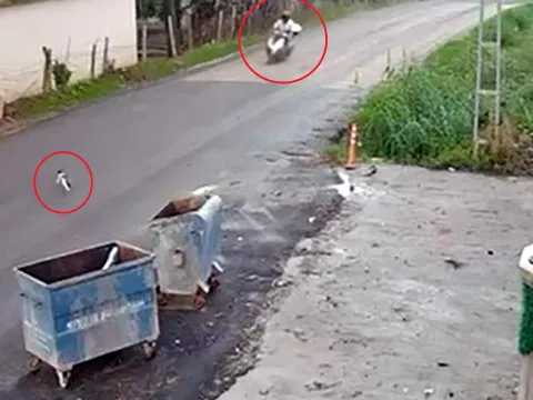 Kediye çarpmamak için manevra yaptı, devrilen motosikletten yaralandı - fotoğraf 3