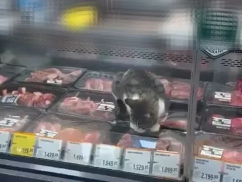 Zincir marketteki görüntü sonrası harekete geçildi: Ürünlere el konuldu, para cezası kesildi - fotoğraf 4