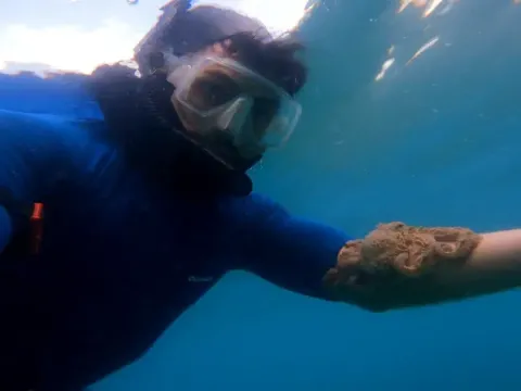 Dalgıç ile ahtapotların su altındaki dostluğu yürek ısıtıyor - fotoğraf 1