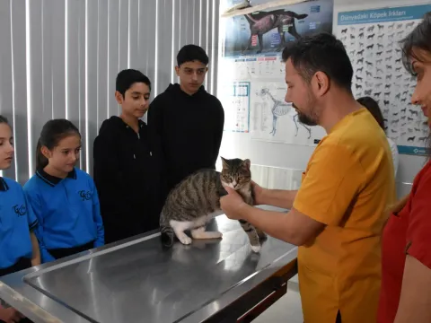 İzmir'de yürek ısıtan dayanışma: Harçlıklarını biriktirip yaralı kedi "Kurabiye"yi kurtardılar - fotoğraf 5