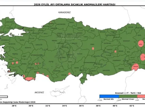 Türkiye'de 56 yıl sonra bir ilk yaşandı - fotoğraf 3