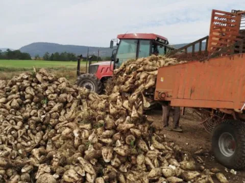 952 milyon liralık avans ödemesi hesaplara yatırıldı - fotoğraf 1