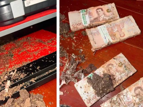Hırsız girmesin diye kasaya koymuştu: Günler önce sakladığı servetini bu halde buldu - fotoğraf 1