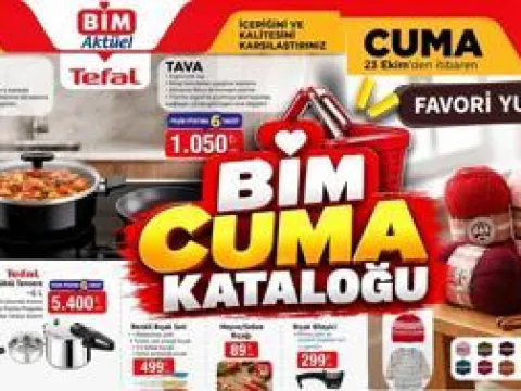 Dünya çapında siber saldırı alarmı! Avrupa, devlet kurumları internet sitelerini kapattı - fotoğraf 4