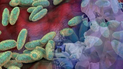 Rusya ‘veba salgını şüphesi’: Laboratuvar çalışanı hayatını kaybetti, onlarca kişi karantinada…