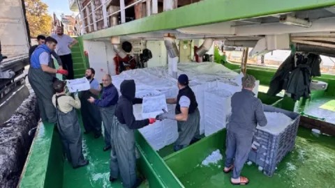 Rüzgar durdu ağlar doldu: Kasa kasa yüklediler İstanbul'a gönderdiler!