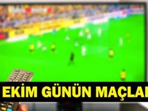 HOFFENHEIM - BEŞİKTAŞ MAÇI NE ZAMAN? UEFA Avrupa Ligi Hoffenheim - Beşiktaş Maçı Hangi Kanalda, Saat Kaçta? - fotoğraf 2